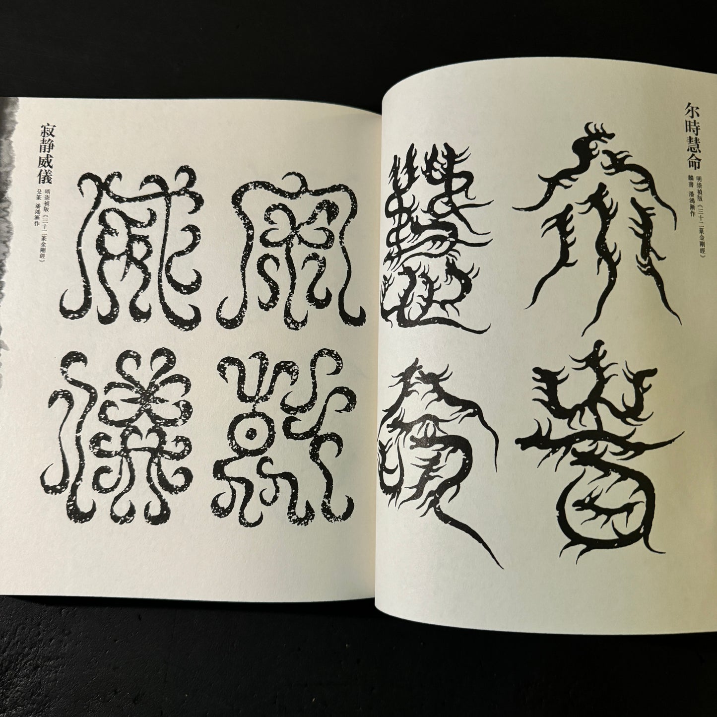 Design characters (two-book set)