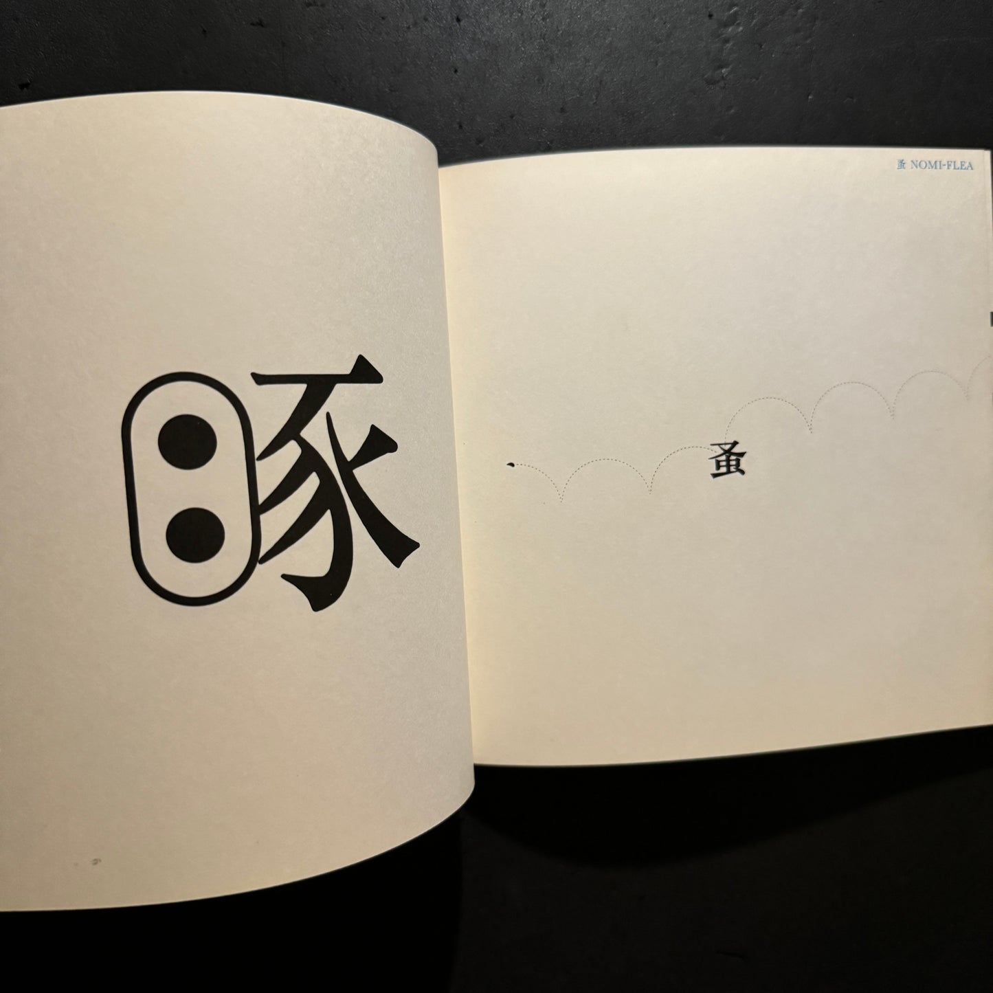 THE IMAGES OF CHINESE CHARACTERS