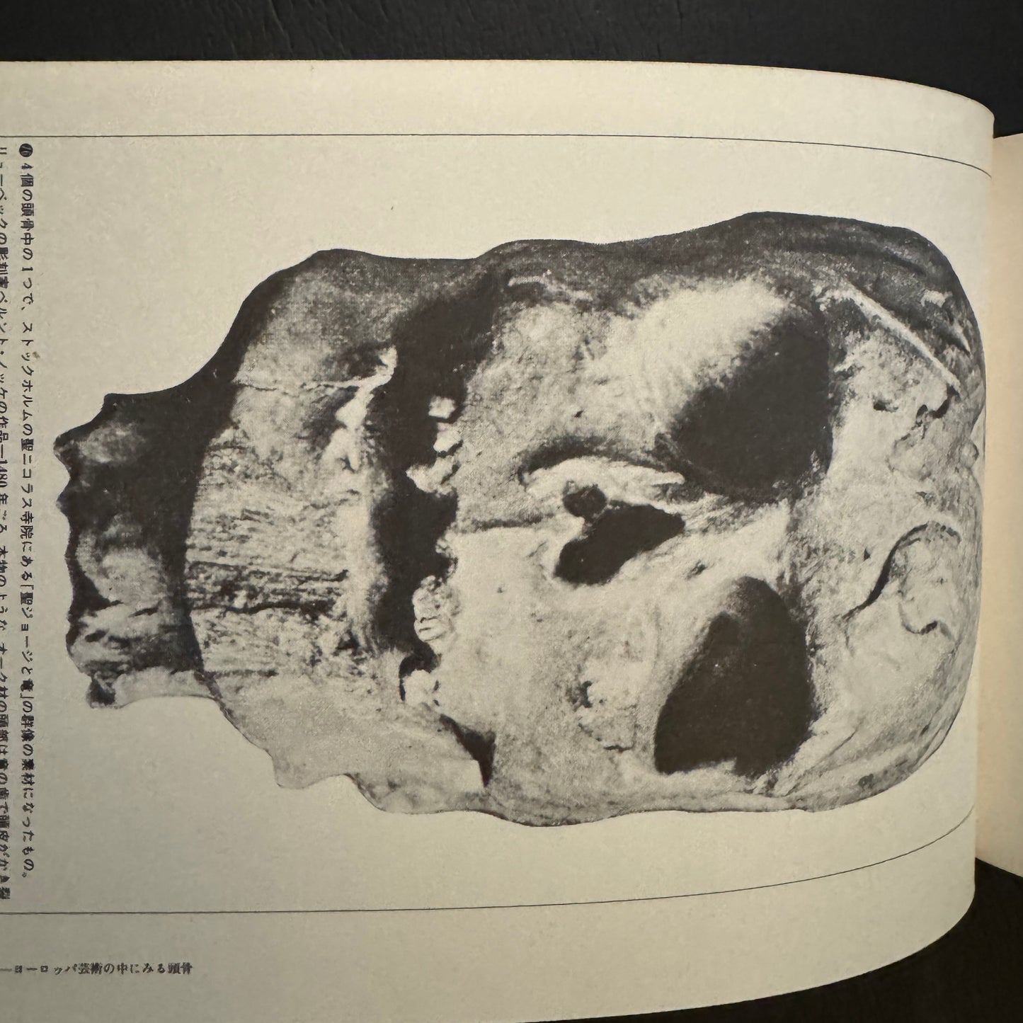 Cultural History of the Skull (Japanese edition) without a transportation carbon box