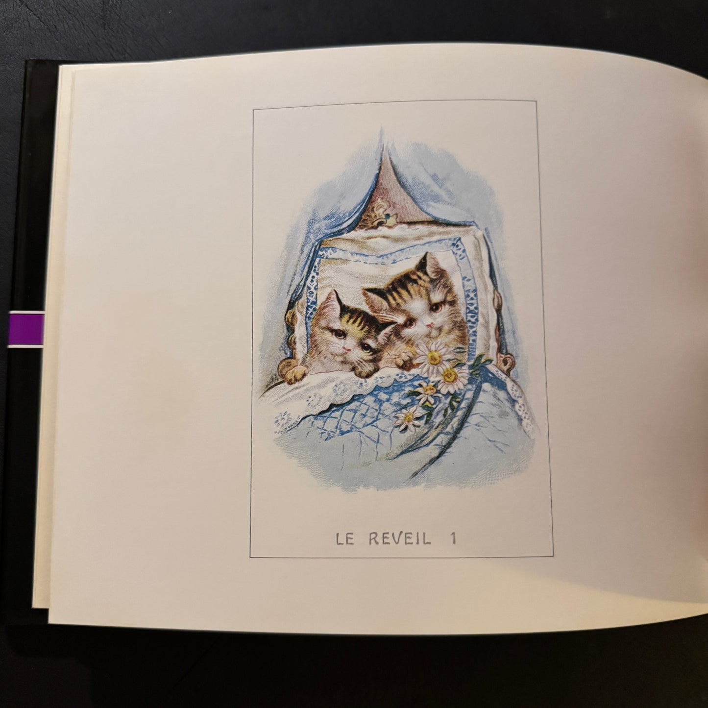 The Cat's Mansion: The World of Antique Cards