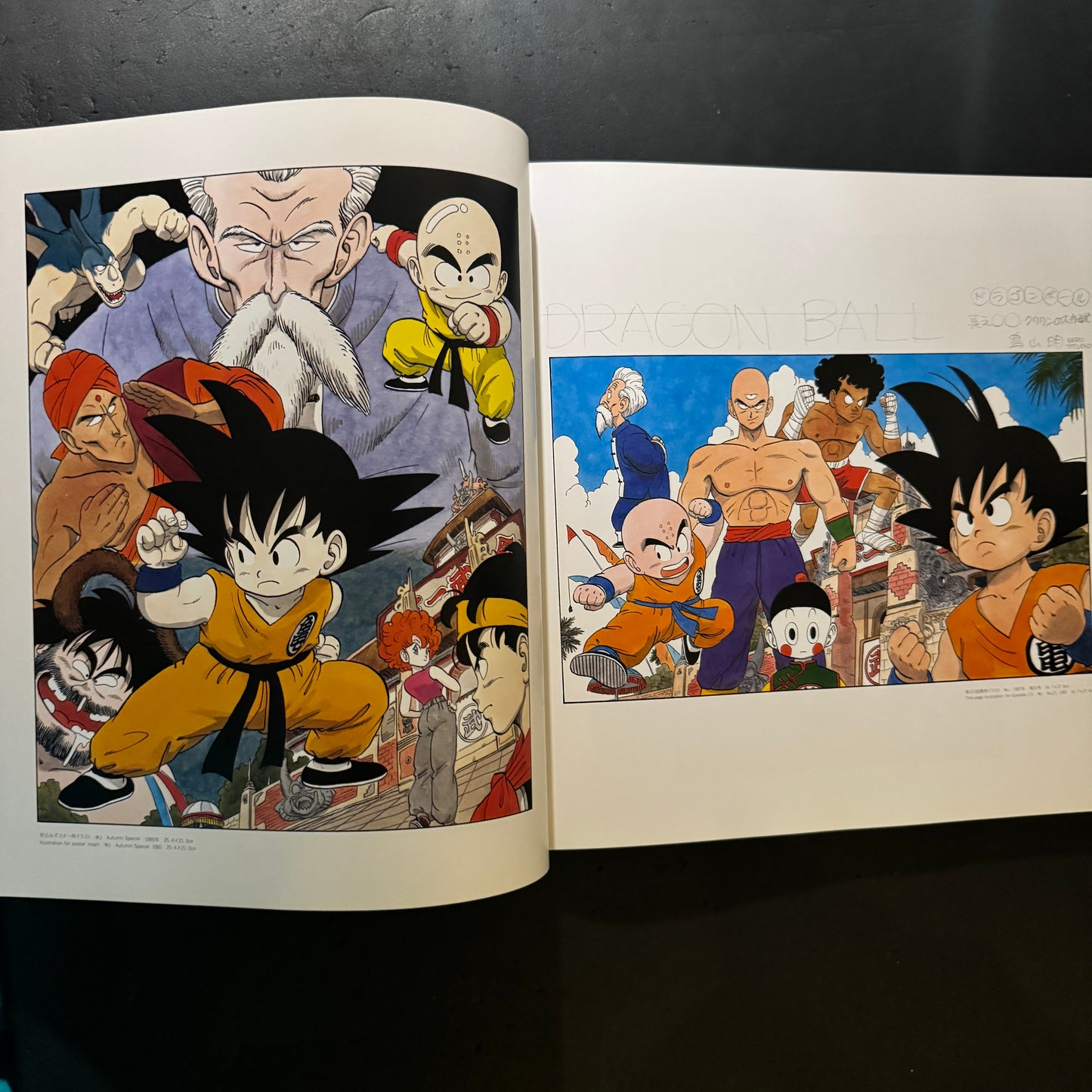 The World of Akira Toriyama Exhibition Art Catalog with original plastic bag