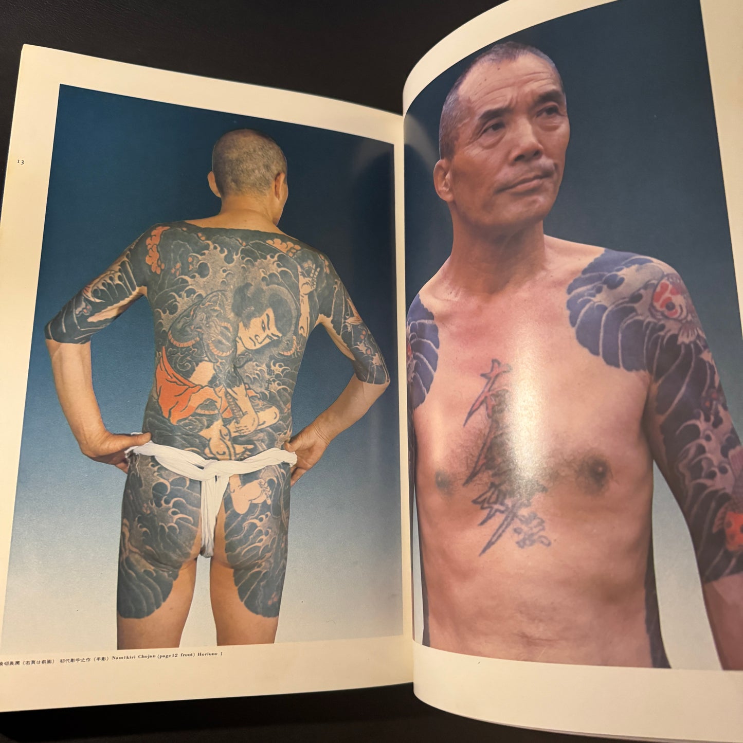 World of Japanese Tattooing color-illustrated