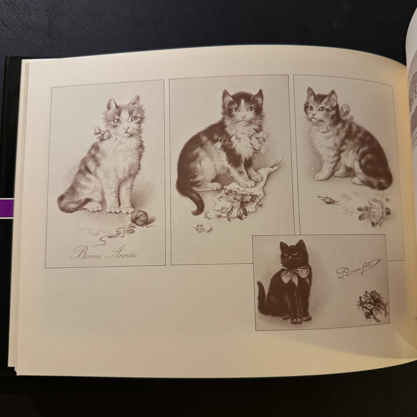 The Cat's Mansion: The World of Antique Cards