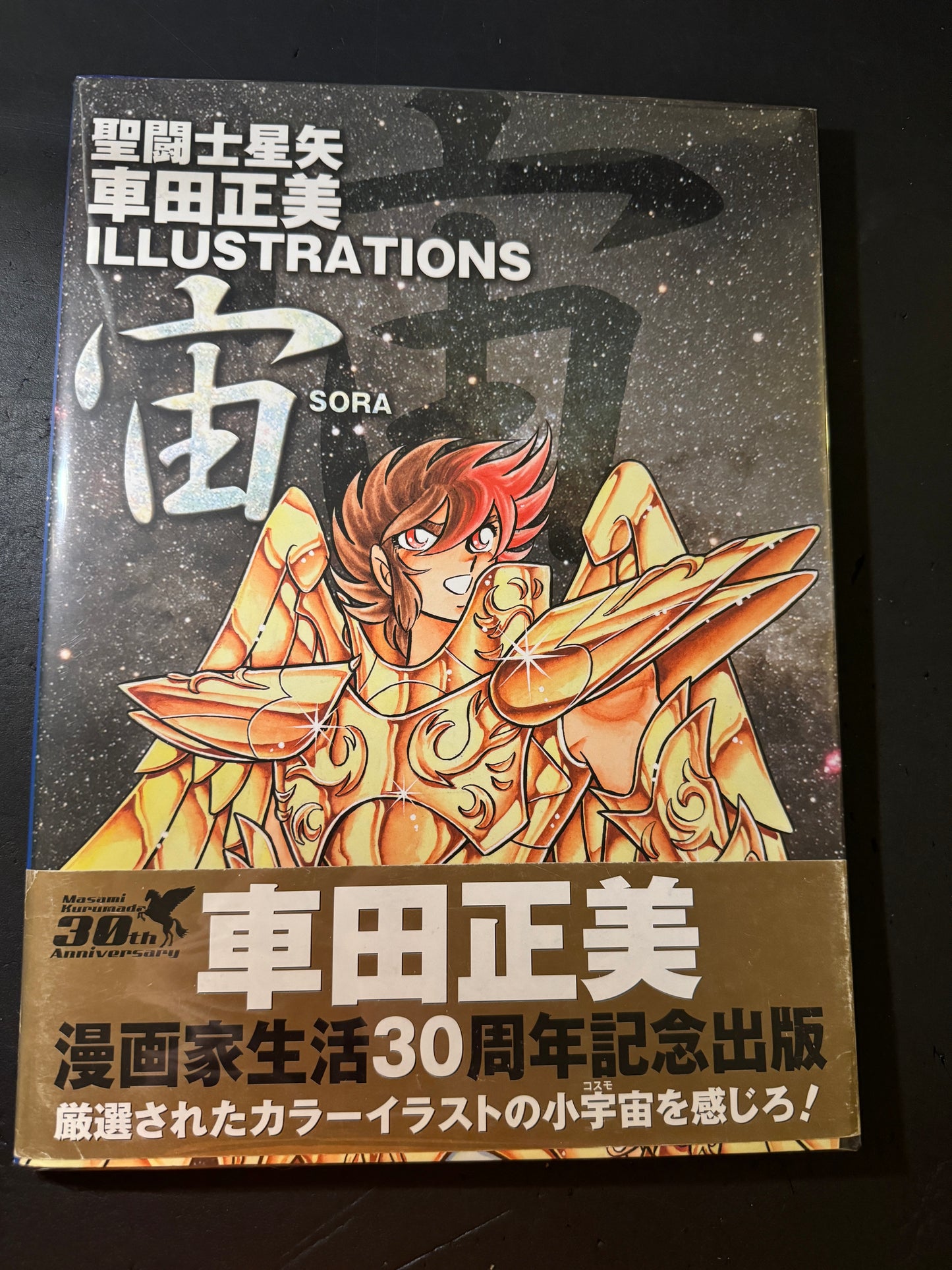 Saint Seiya Illustration SORA