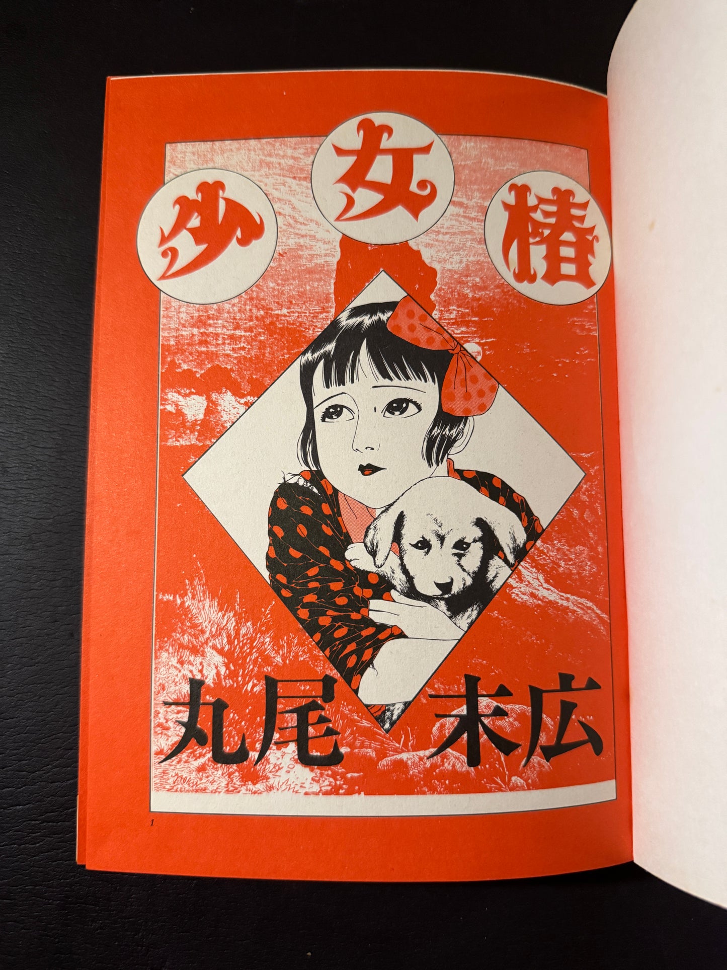 SHOJO TSUBAKI