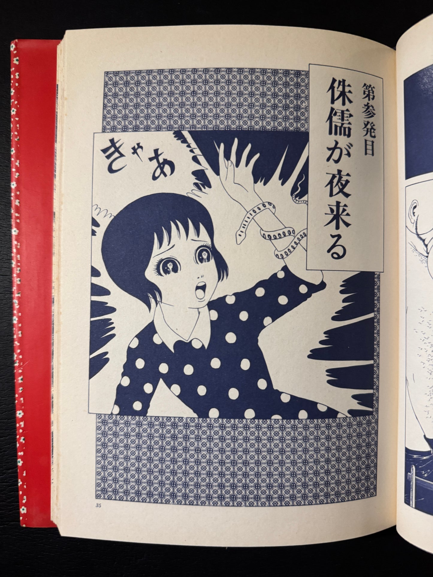 SHOJO TSUBAKI