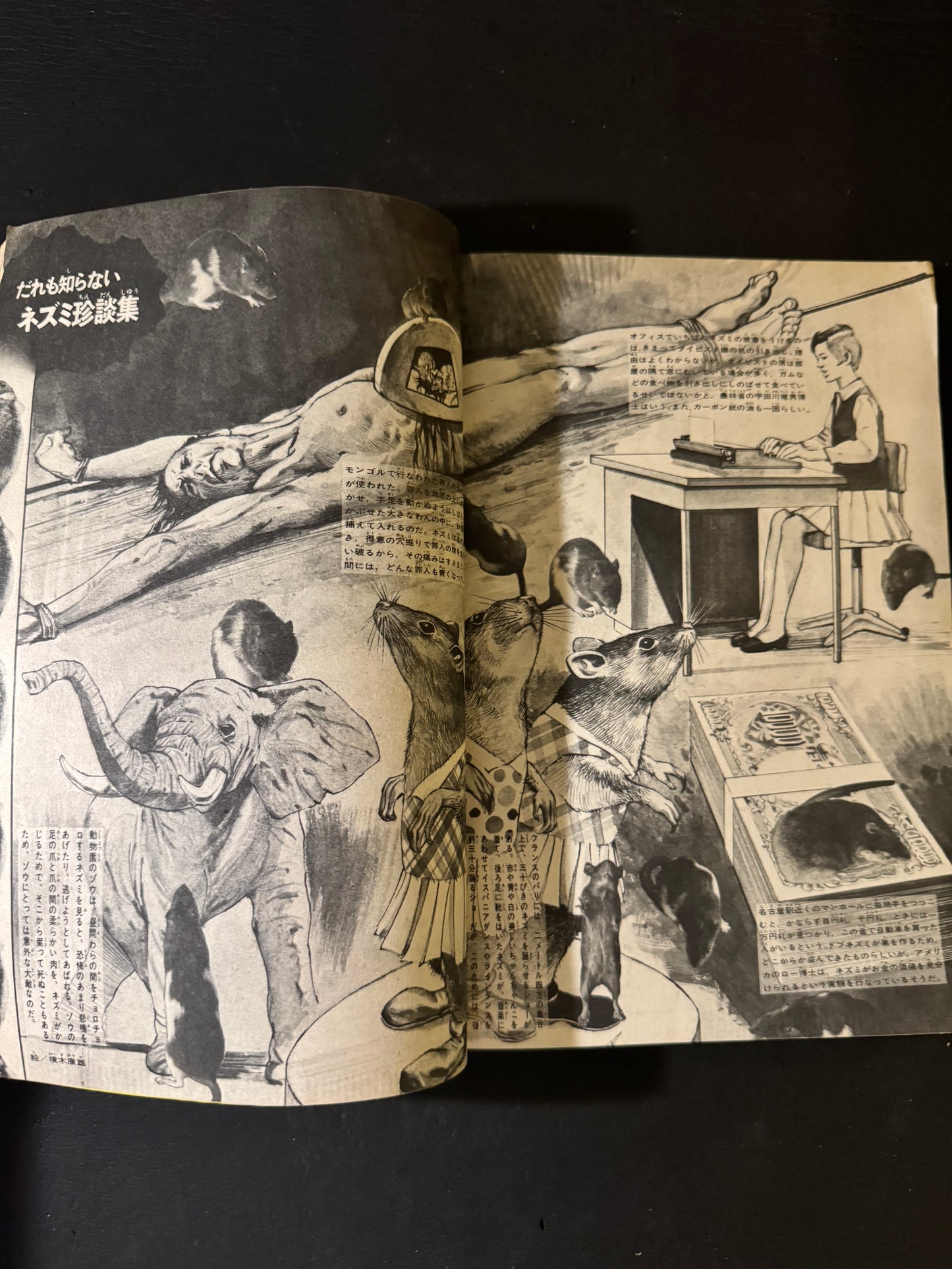Tadanori Yokoo × Weekly Shonen Magazine collaboration complete 9 issues