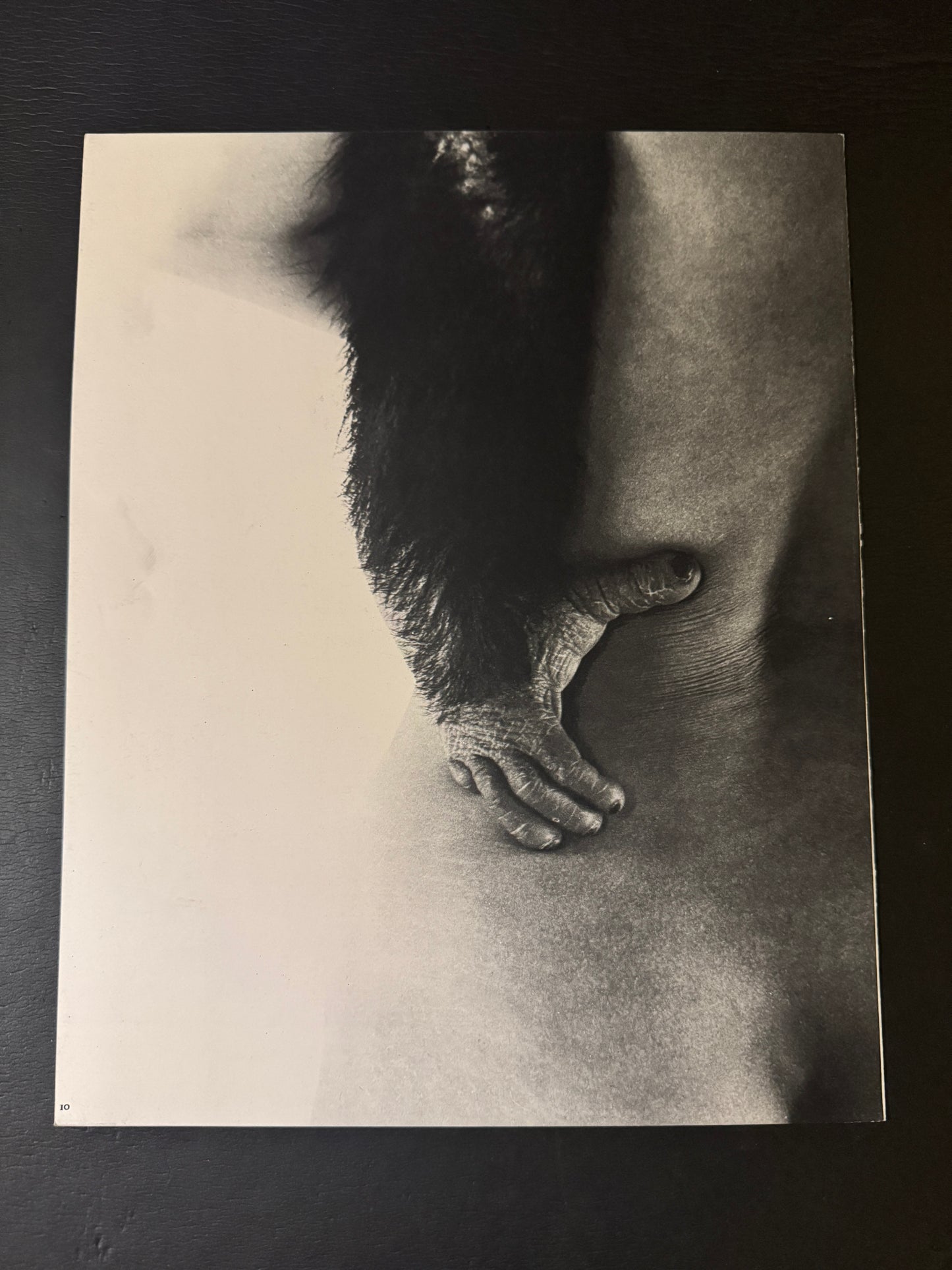 Beast love : The Third Venus