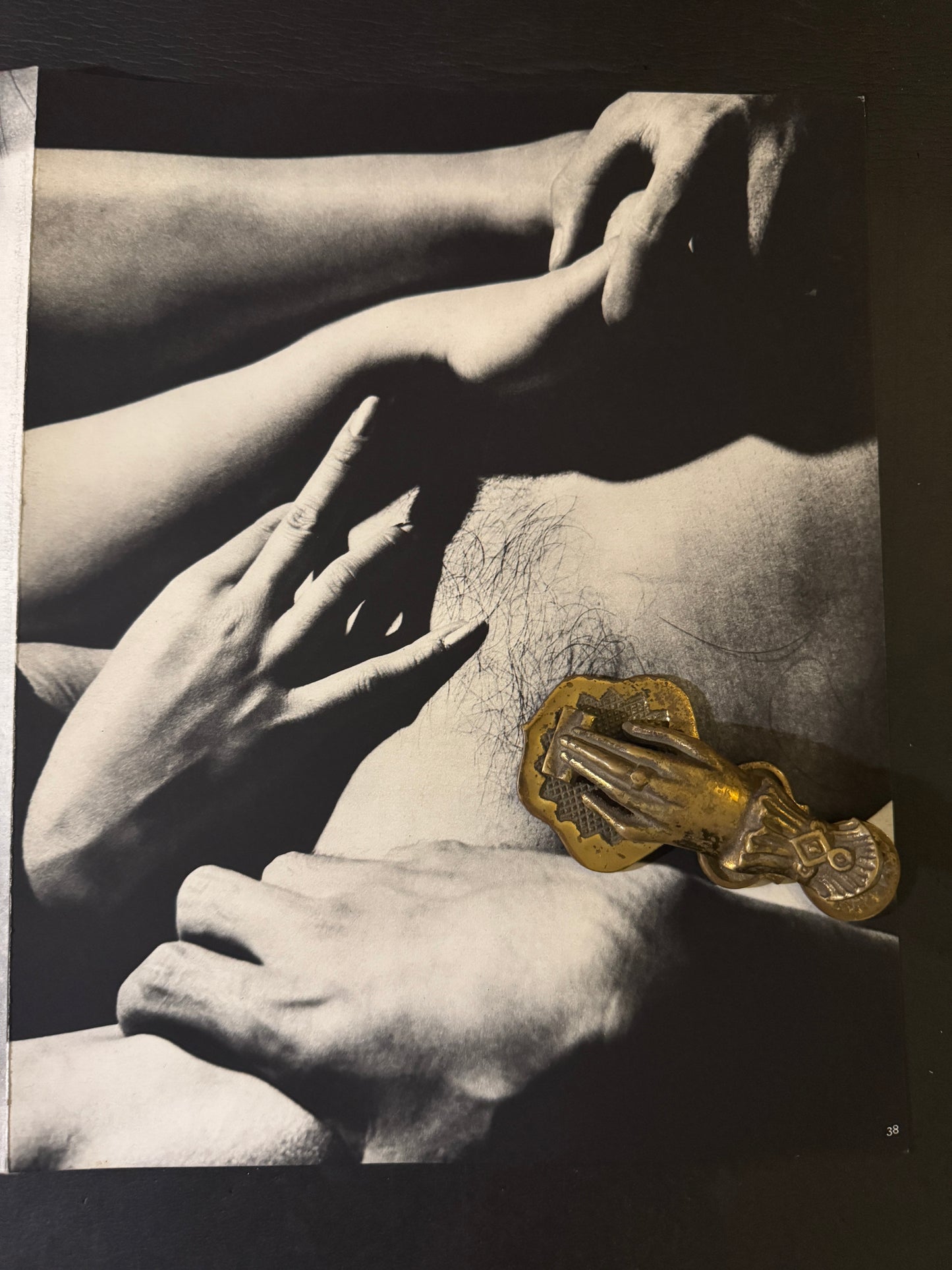 Beast love : The Third Venus