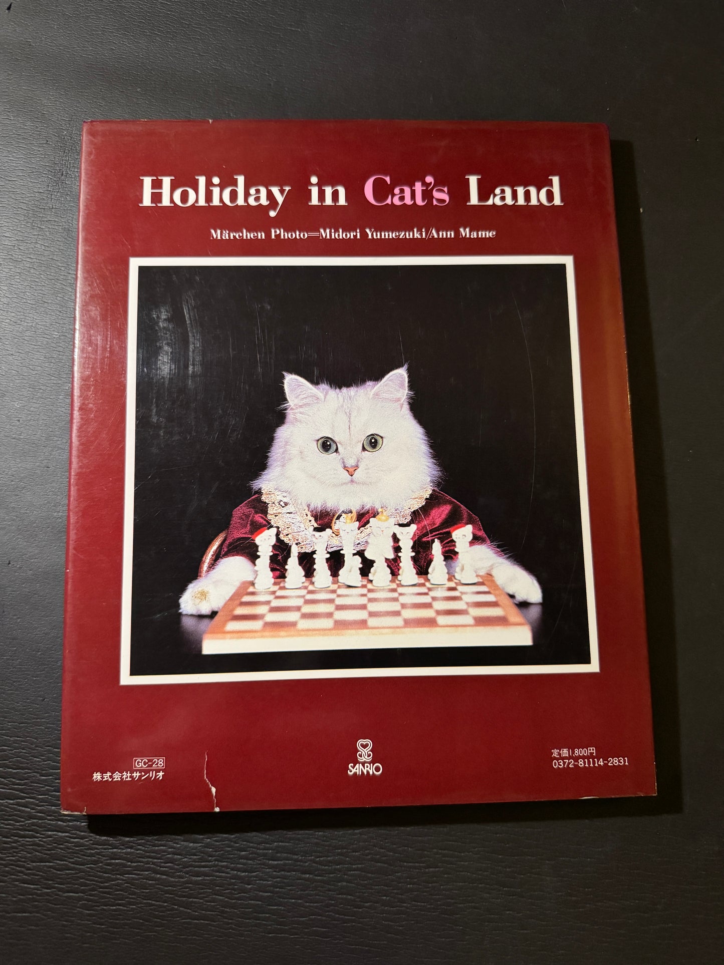 Holiday in Cat's Land