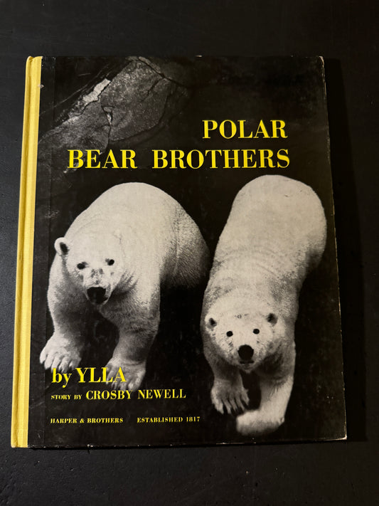 POLAR BEAR BROTHERS