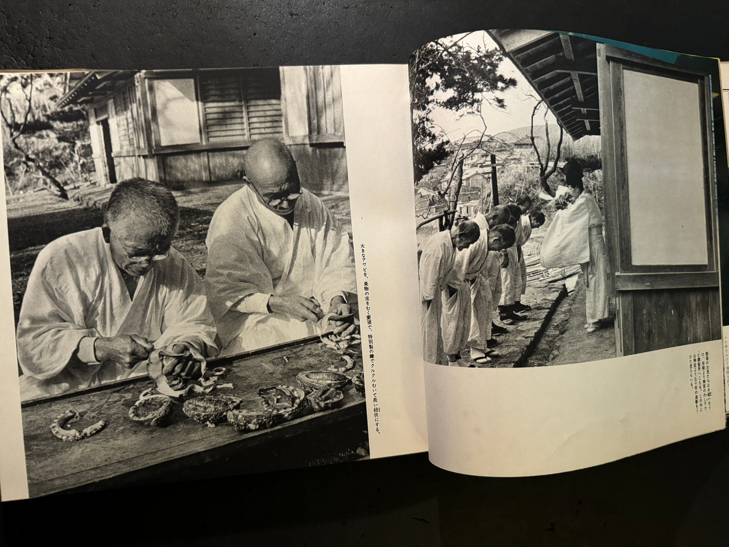 AMA The Woman Sea Divers in Japan