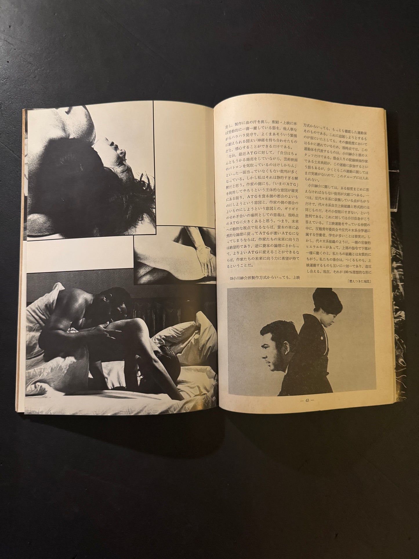 Funeral Parade of Roses Pamphlet (with original flyer)