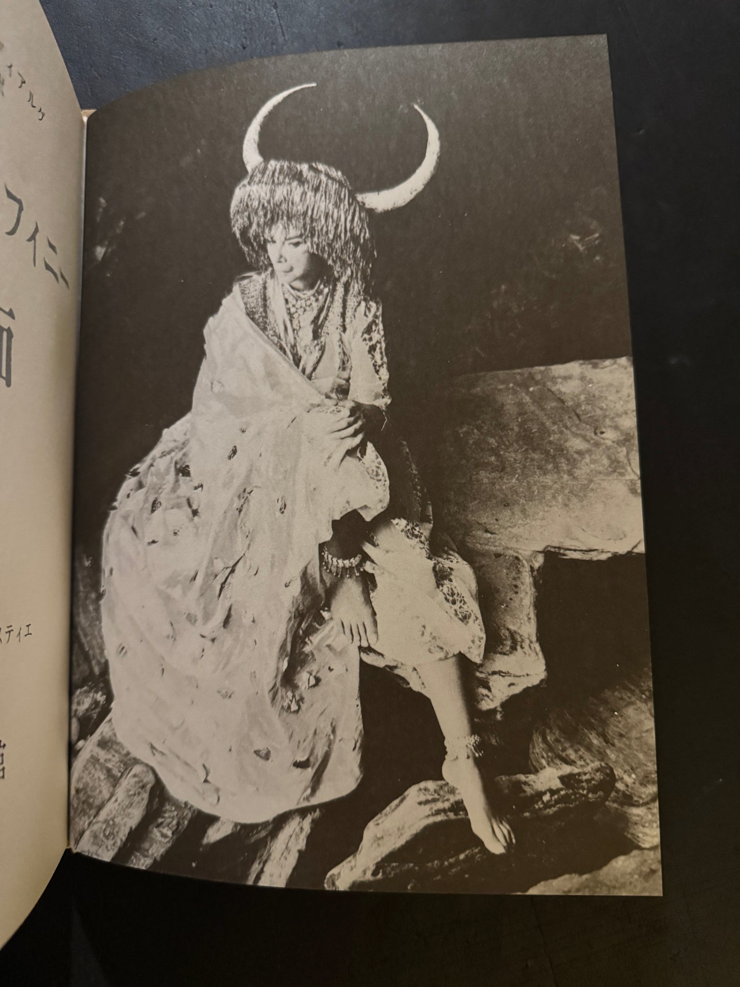 Les Masques de Leonor Fini  (japanese edition)
