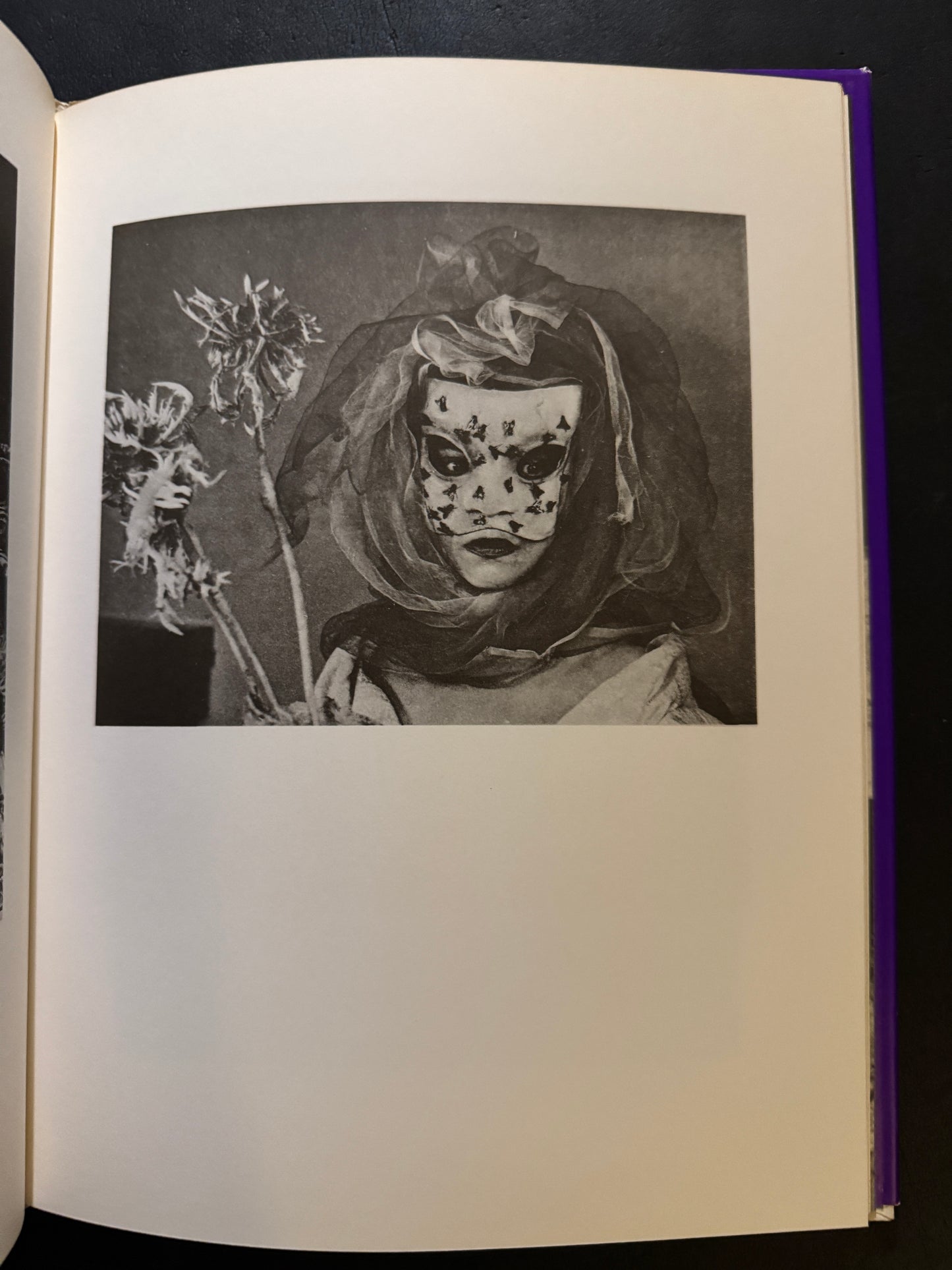 Les Masques de Leonor Fini  (japanese edition)