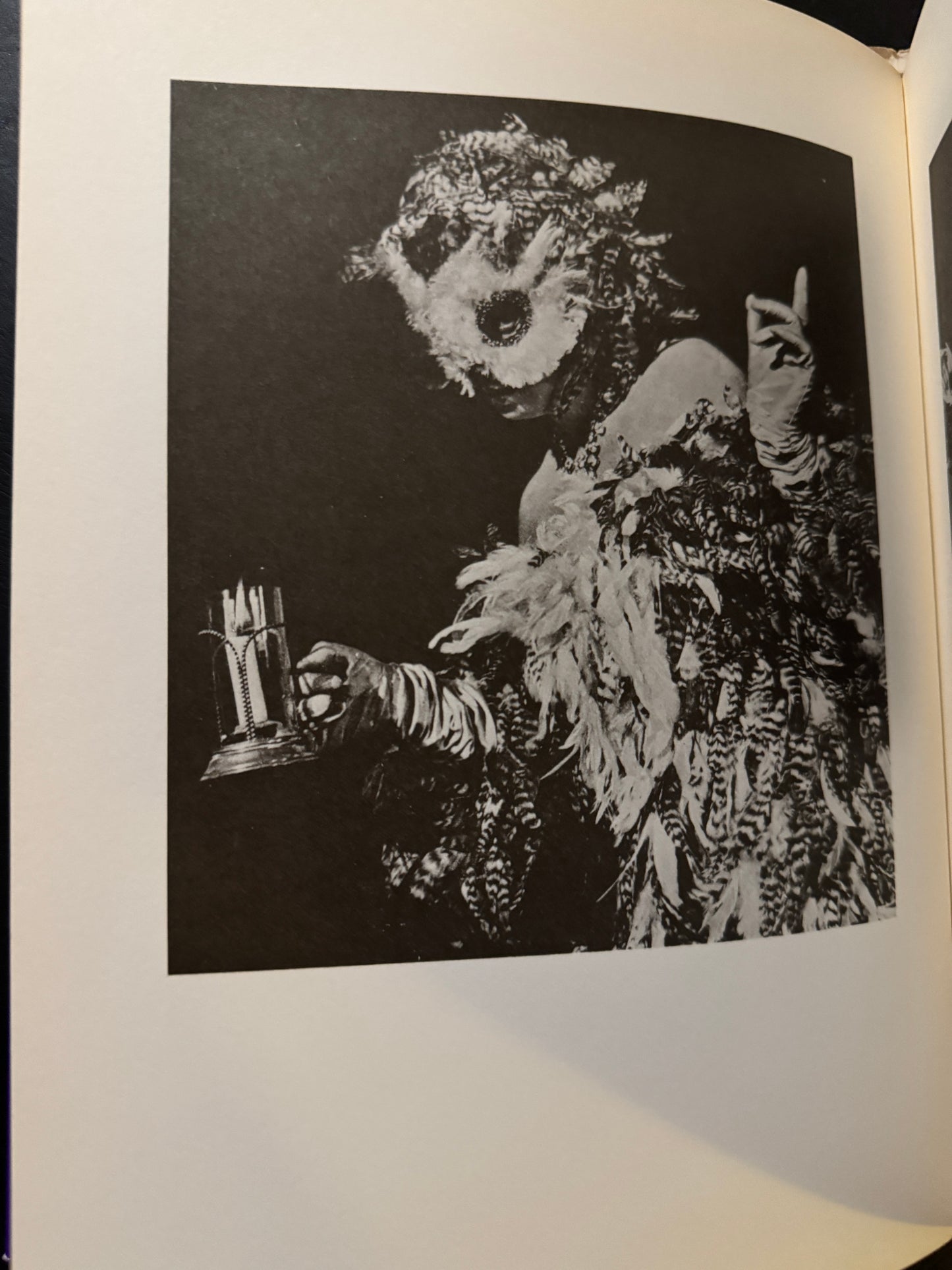 Les Masques de Leonor Fini  (japanese edition)