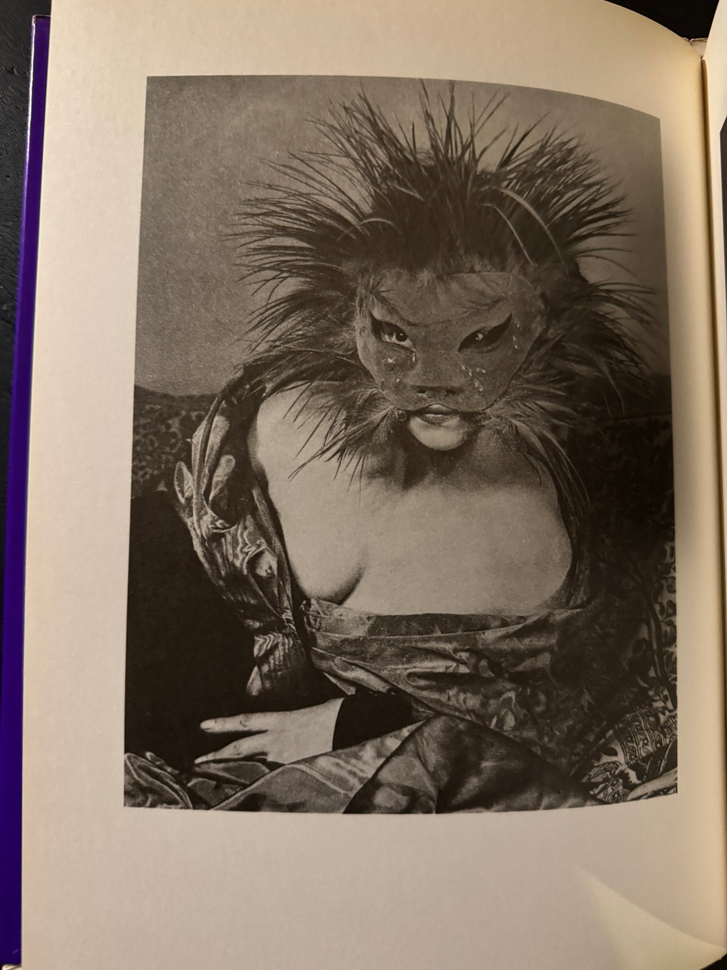 Les Masques de Leonor Fini  (japanese edition)