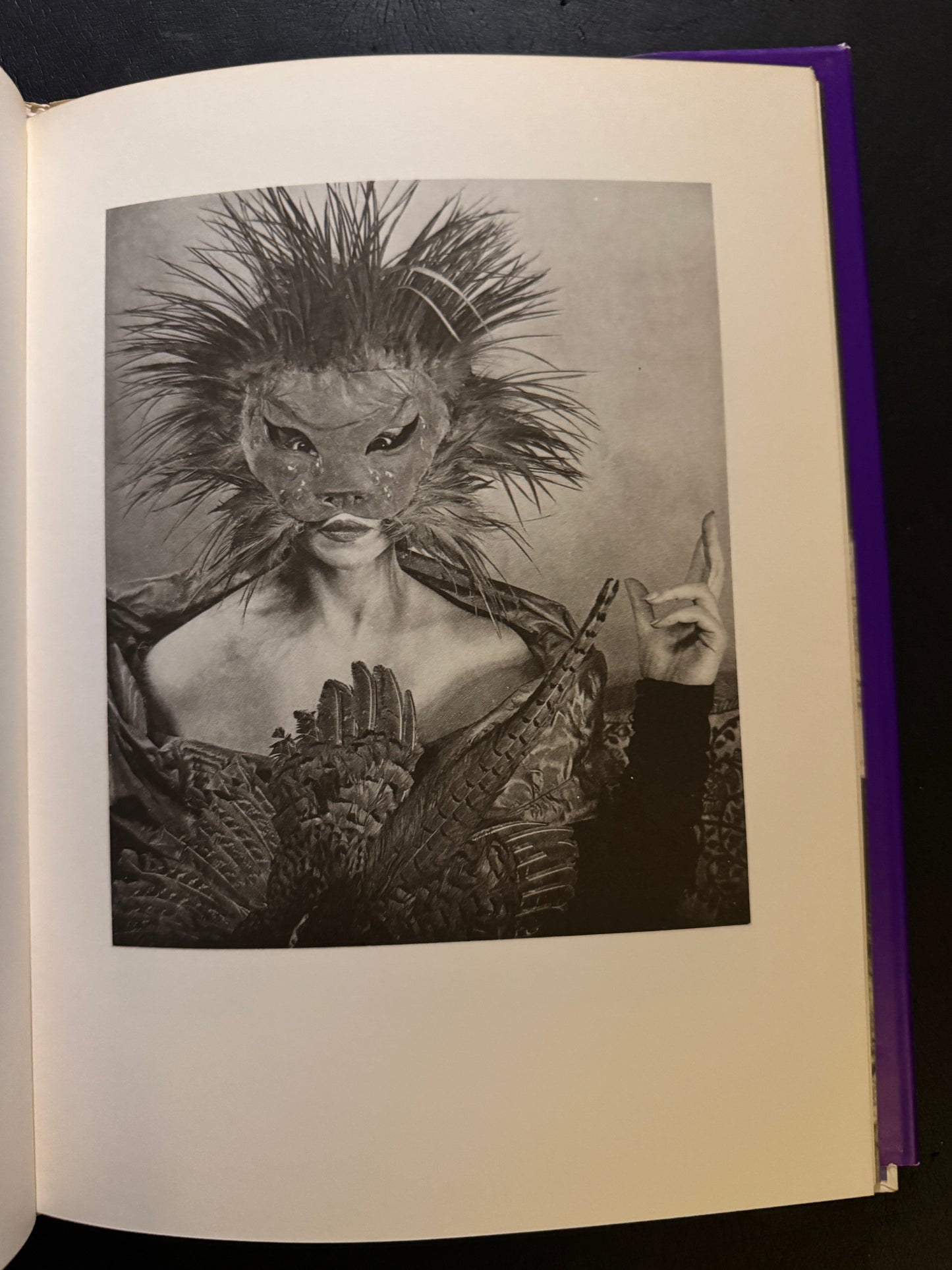 Les Masques de Leonor Fini  (japanese edition)