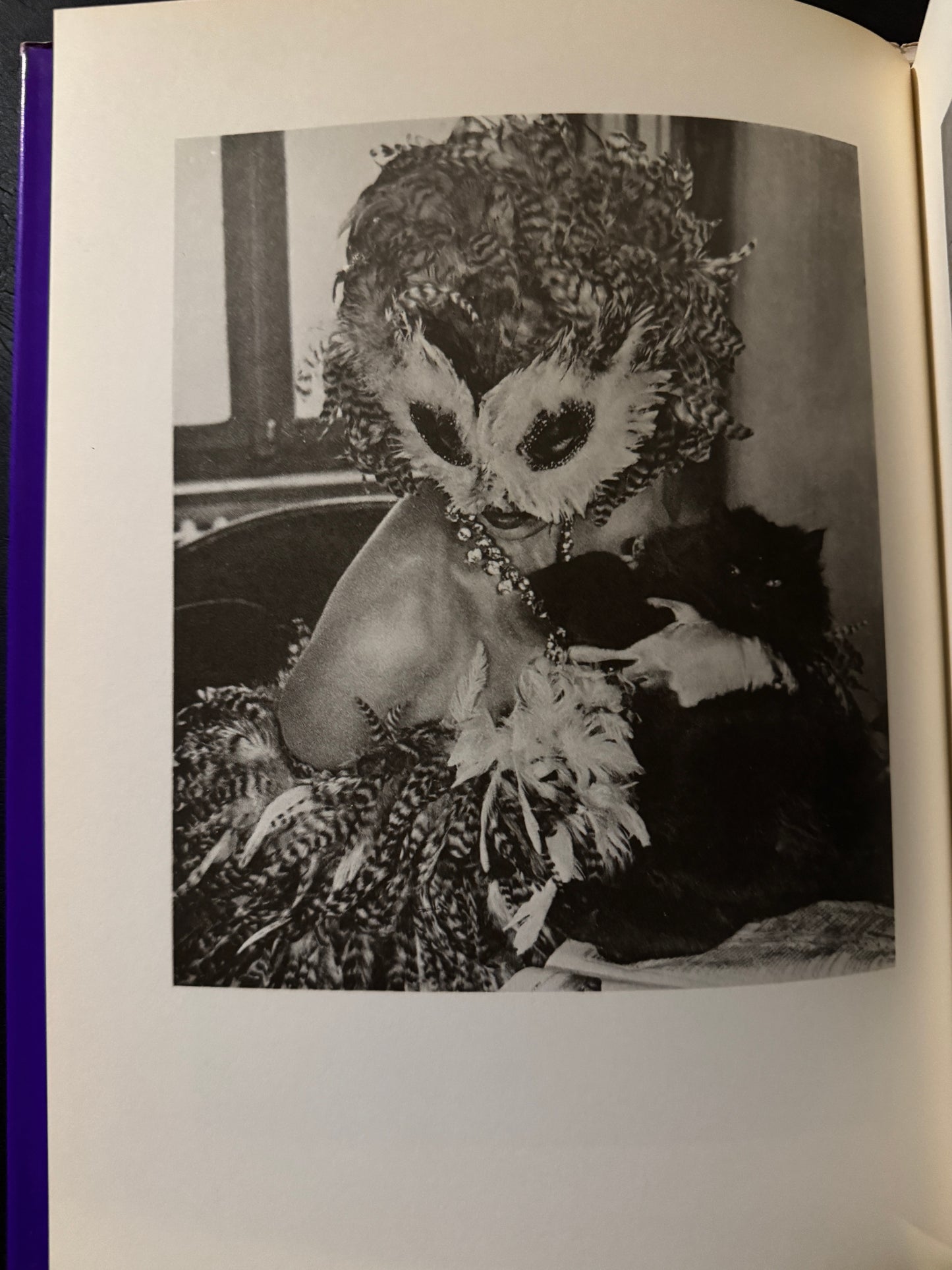 Les Masques de Leonor Fini  (japanese edition)