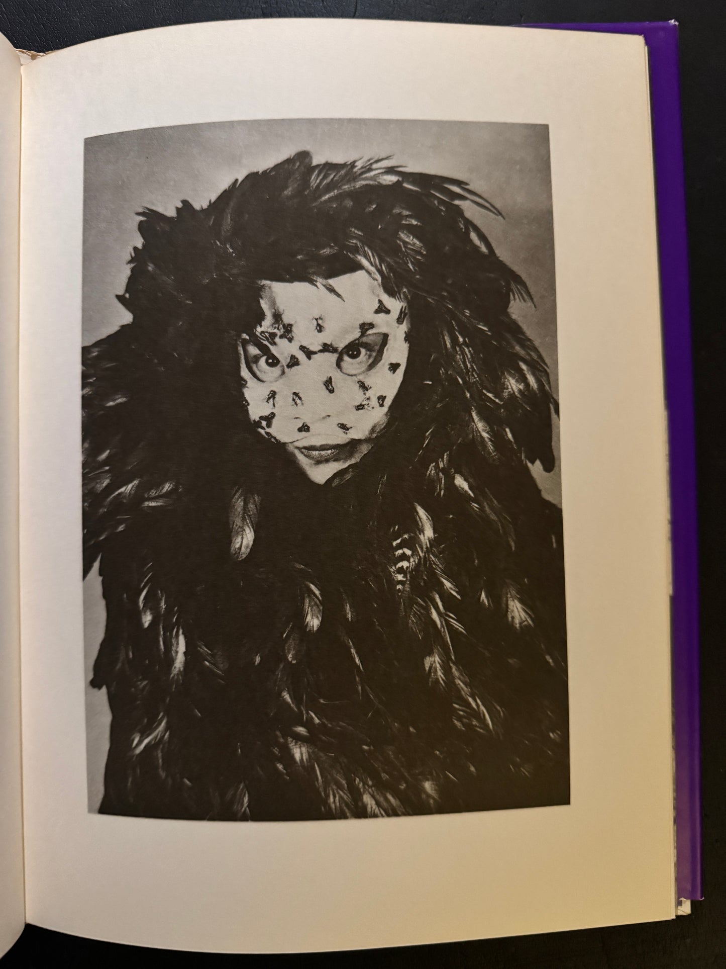 Les Masques de Leonor Fini  (japanese edition)