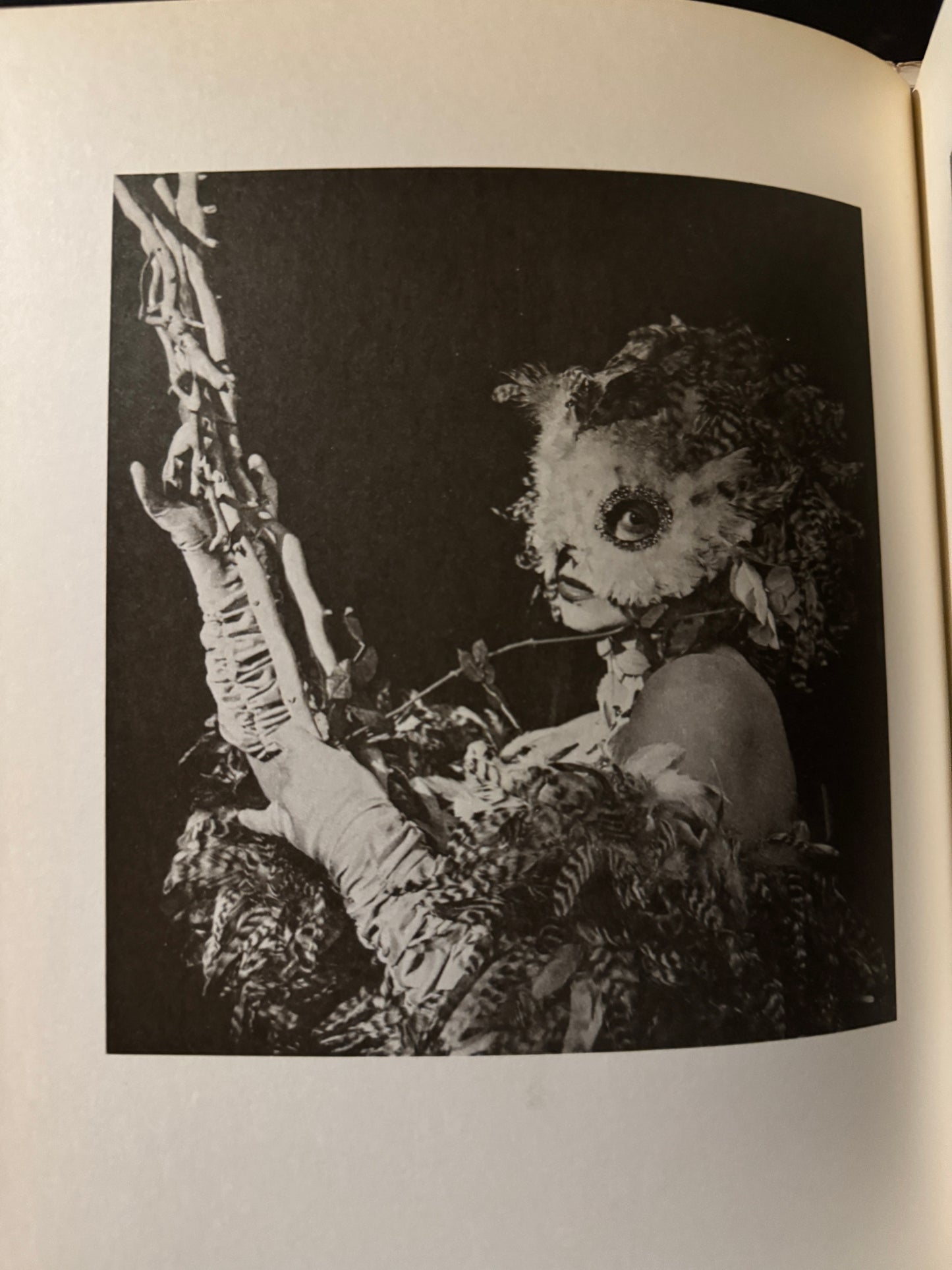 Les Masques de Leonor Fini  (japanese edition)