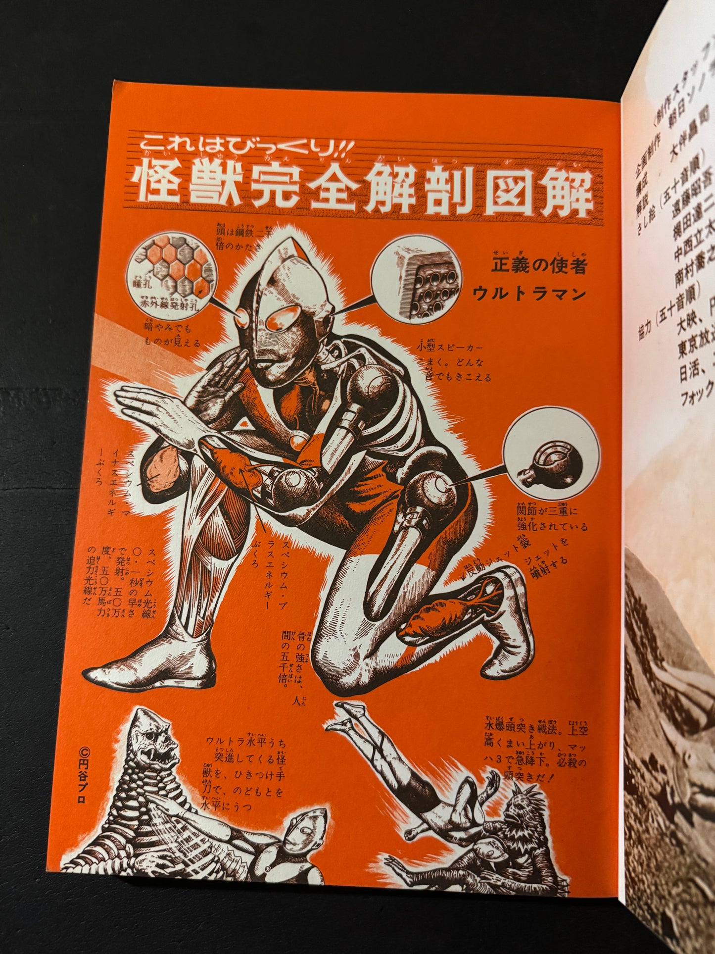 Encyclopedia of Kaiju Anatomy