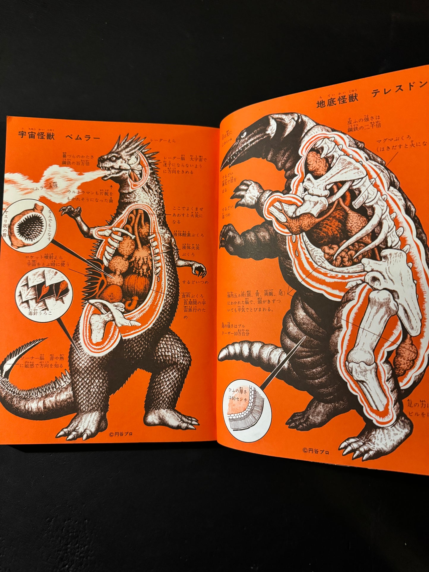 Encyclopedia of Kaiju Anatomy