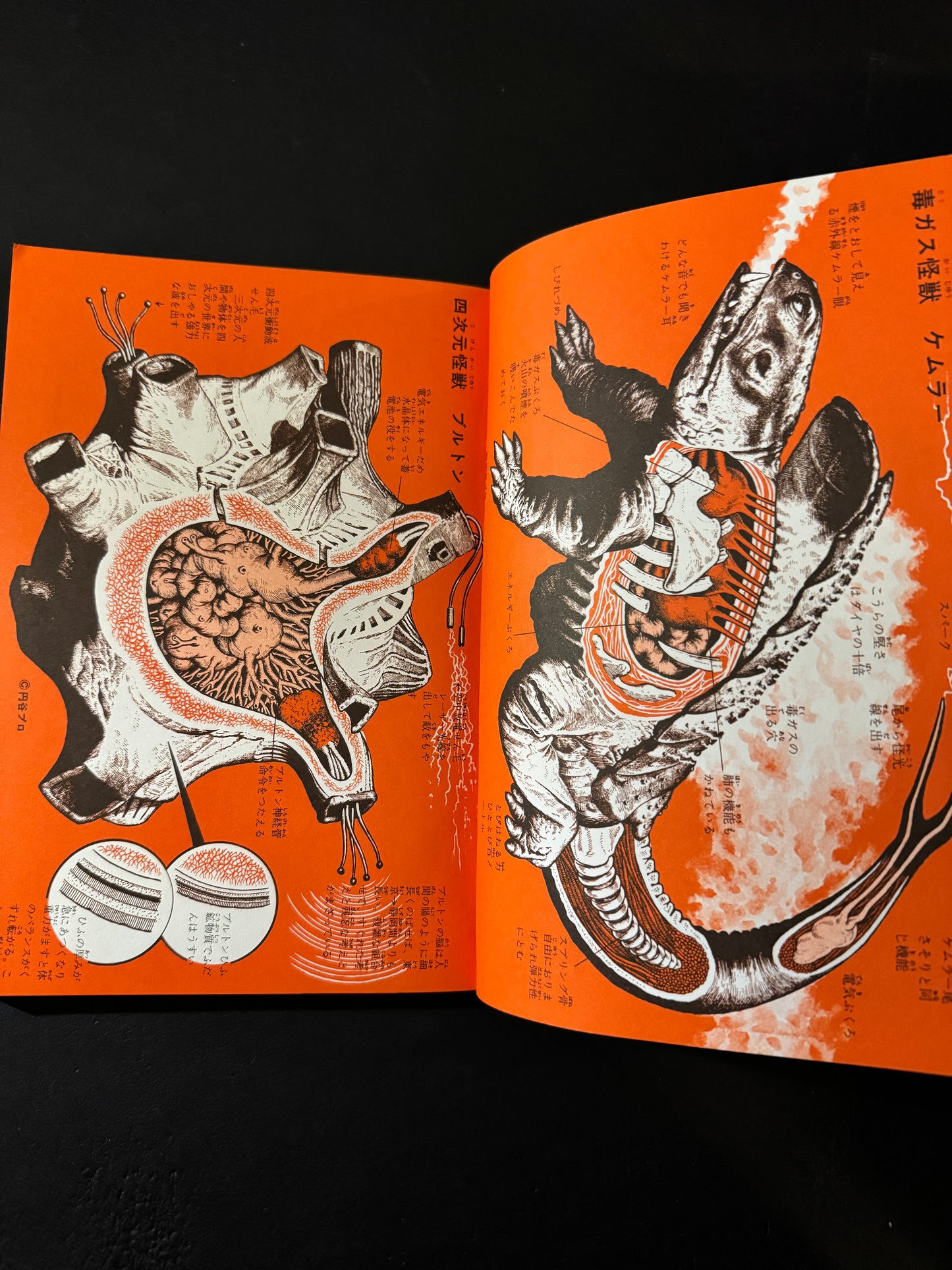 Encyclopedia of Kaiju Anatomy