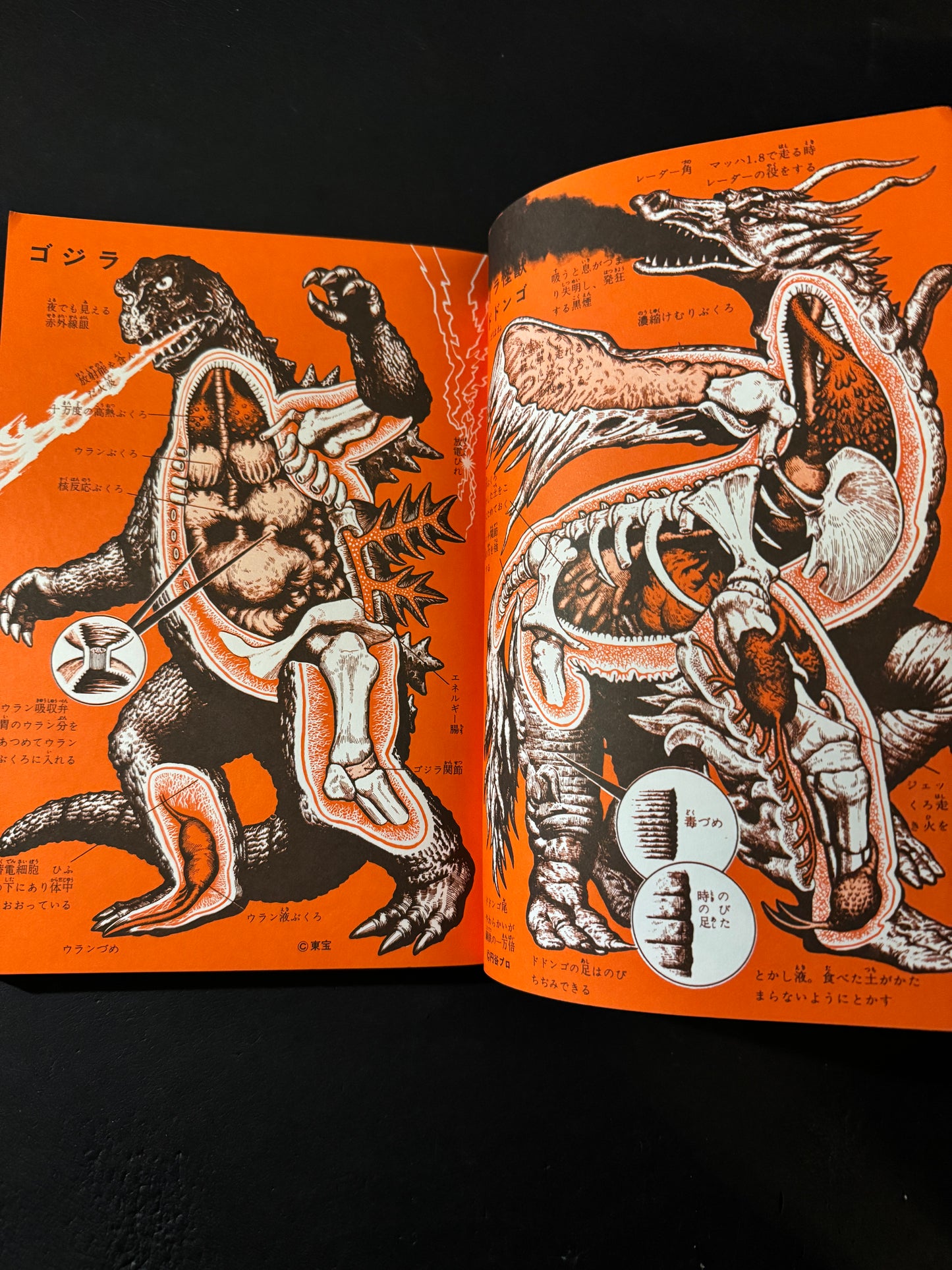 Encyclopedia of Kaiju Anatomy
