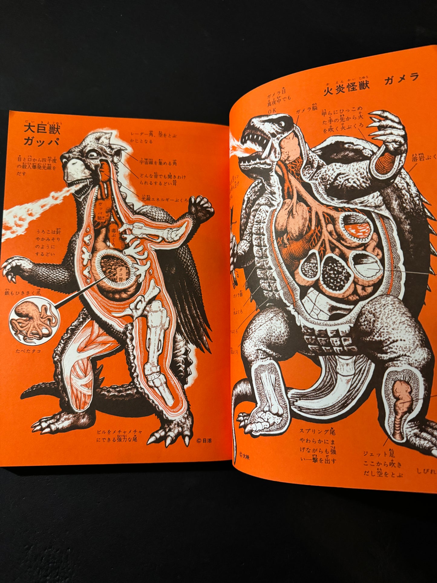 Encyclopedia of Kaiju Anatomy