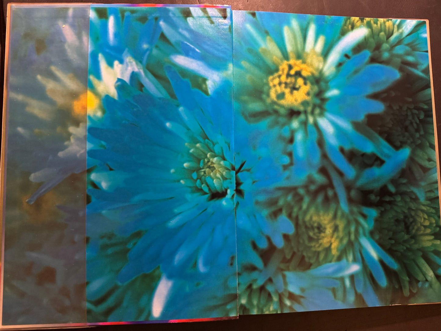 Acid Bloom