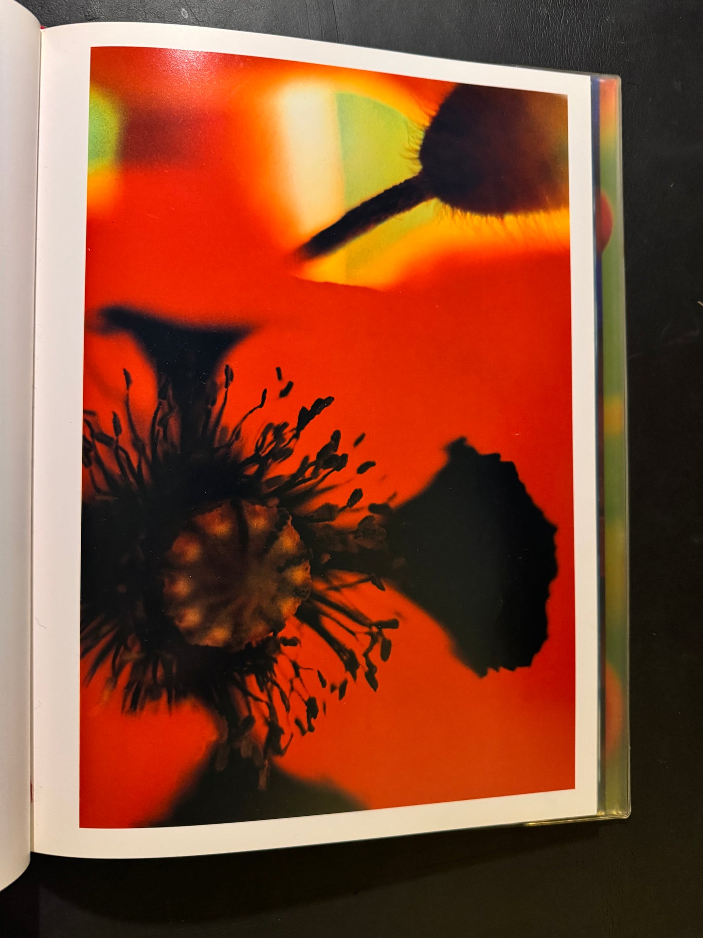 Acid Bloom