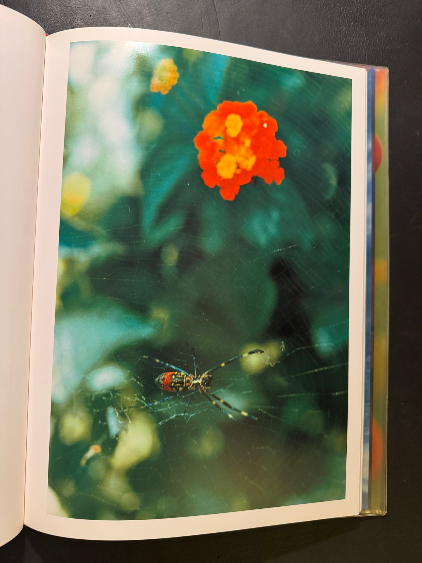 Acid Bloom