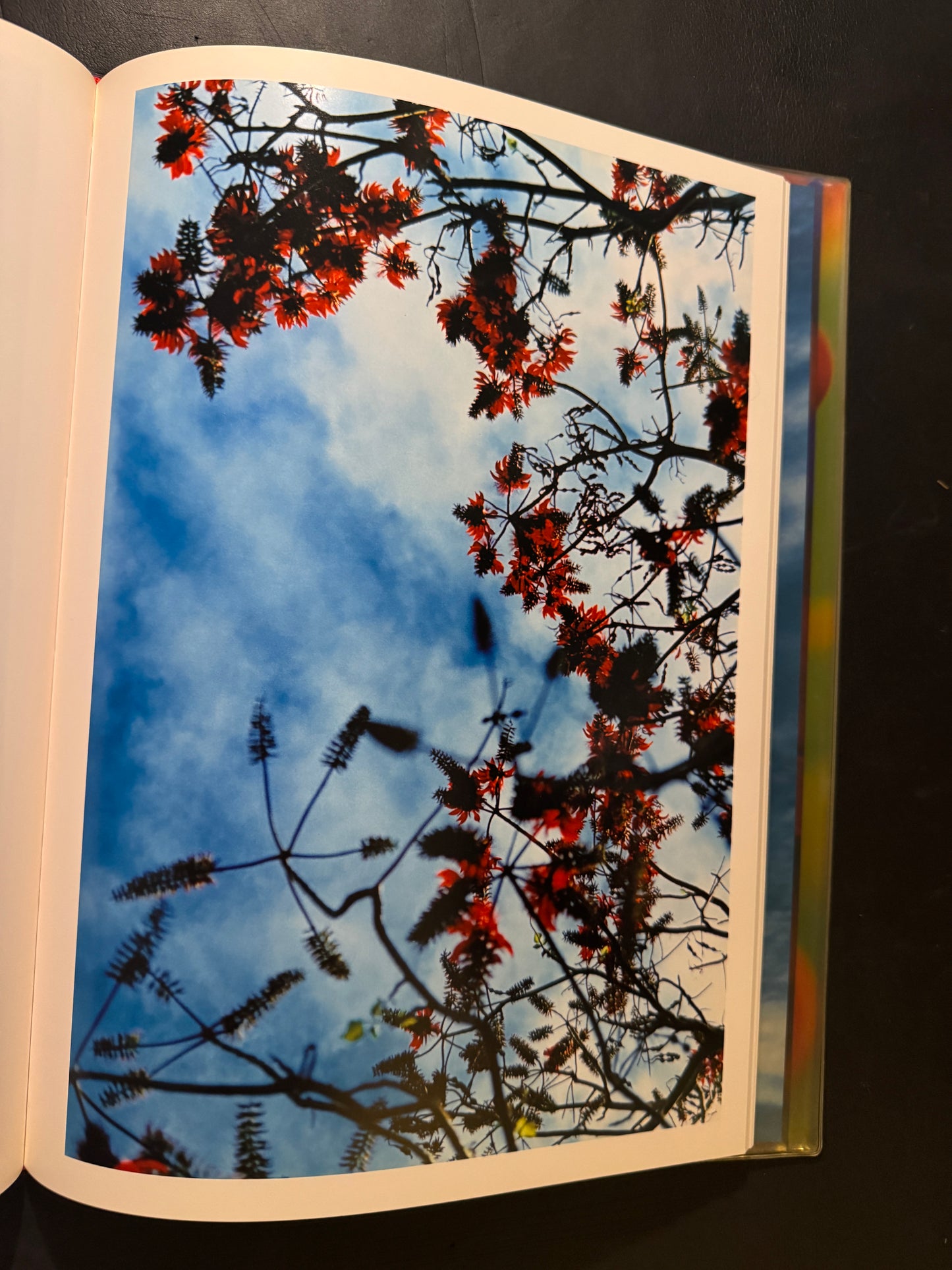 Acid Bloom