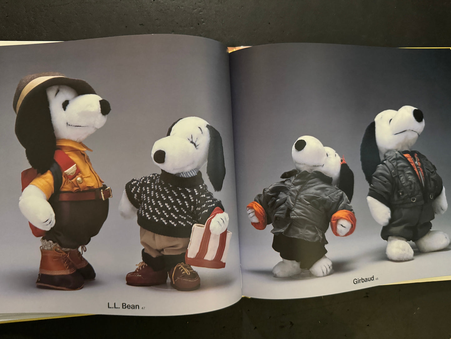 Snoopy in Fashion