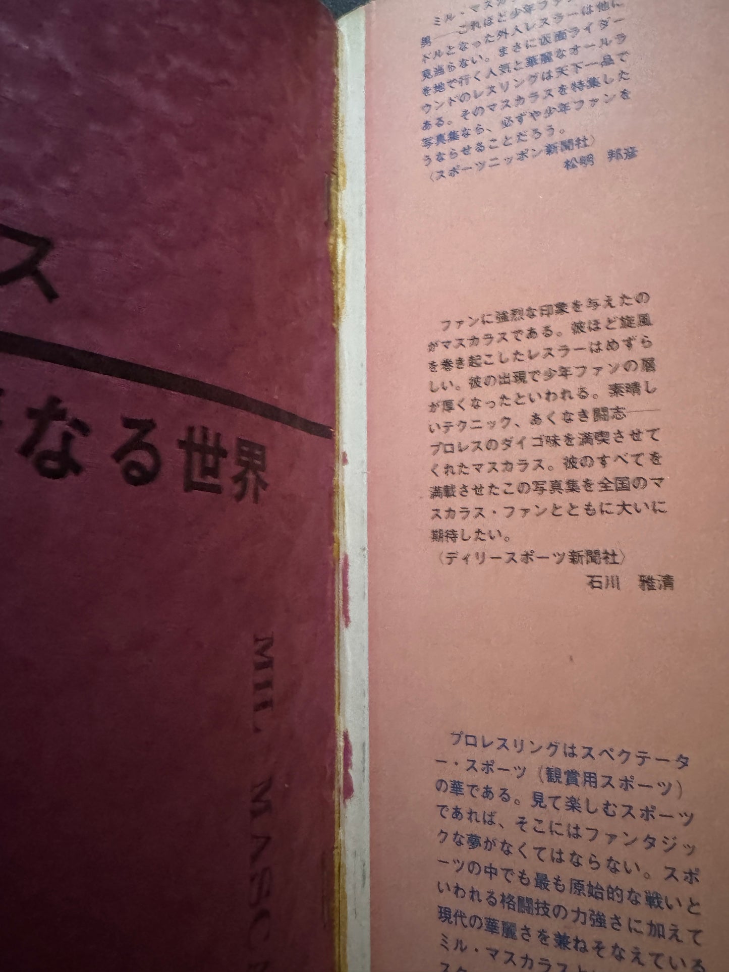 Mil Mascaras: His Dazzling World