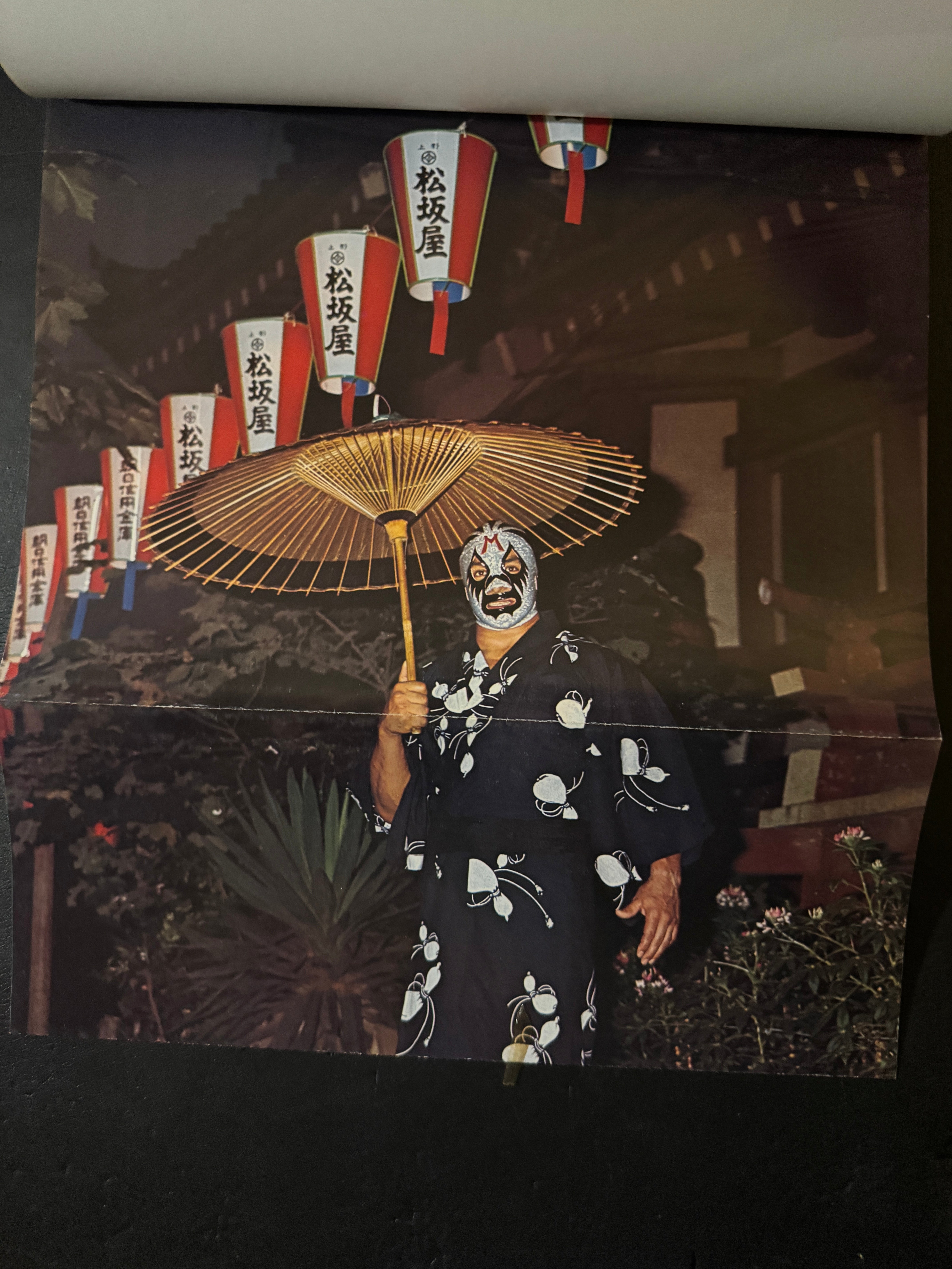 Mil Mascaras: His Dazzling World – JAPANESE AVANT-GARDE BOOKS