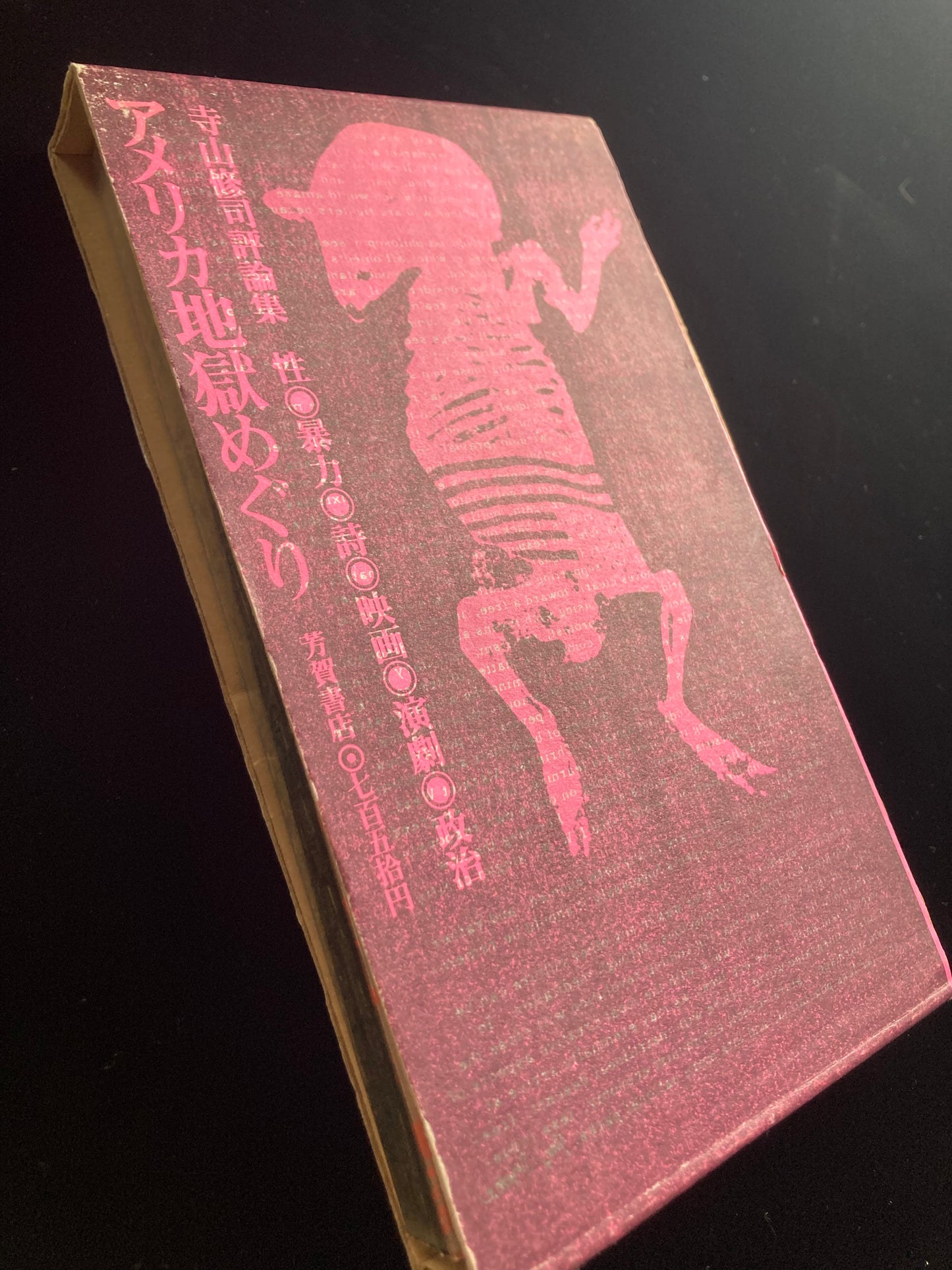 Collected Critical Essays by Shuji Terayama
A Tour of Hell in America