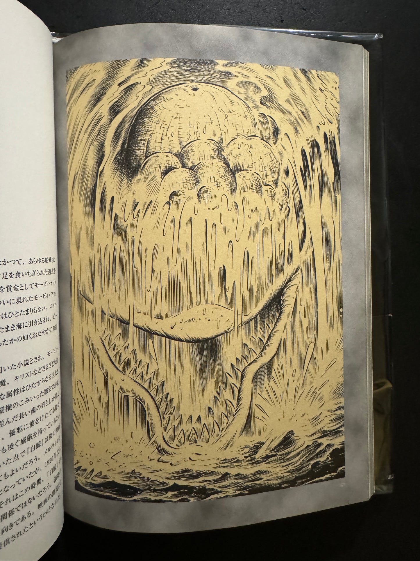 Illustrated Book of Monster Fantasies