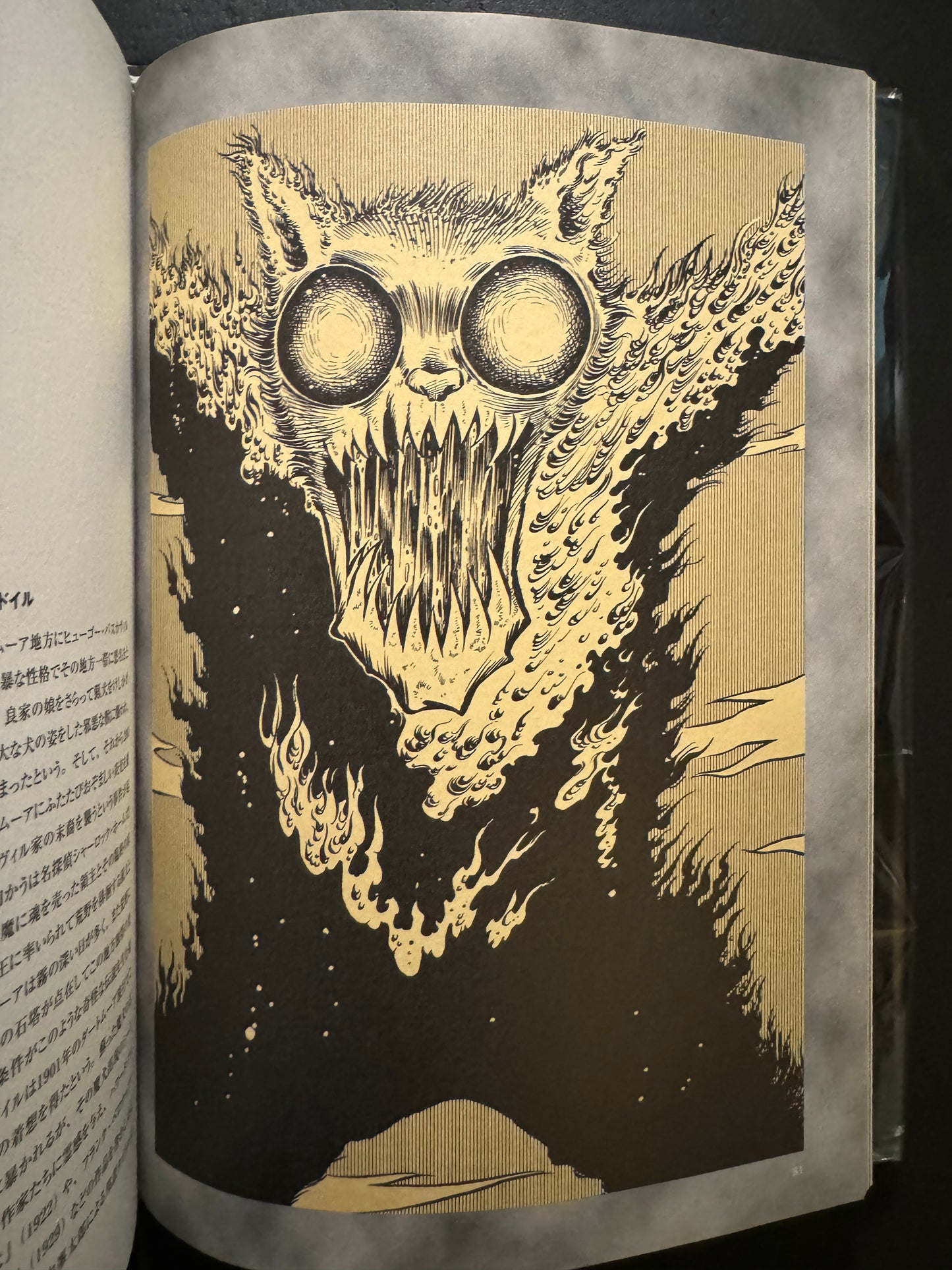 Illustrated Book of Monster Fantasies